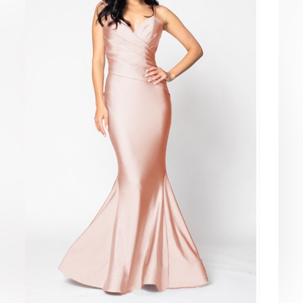 Bari Jay 2204 Size 10 Color Ballet Long Dress